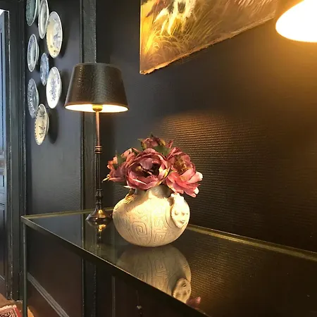 Apartment Le Saint Julien 2 - Hypercentre - Proche Thermes & Parcs - Chic *